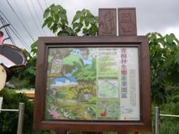 進入青桐林生態園區即可看見導覽標誌。